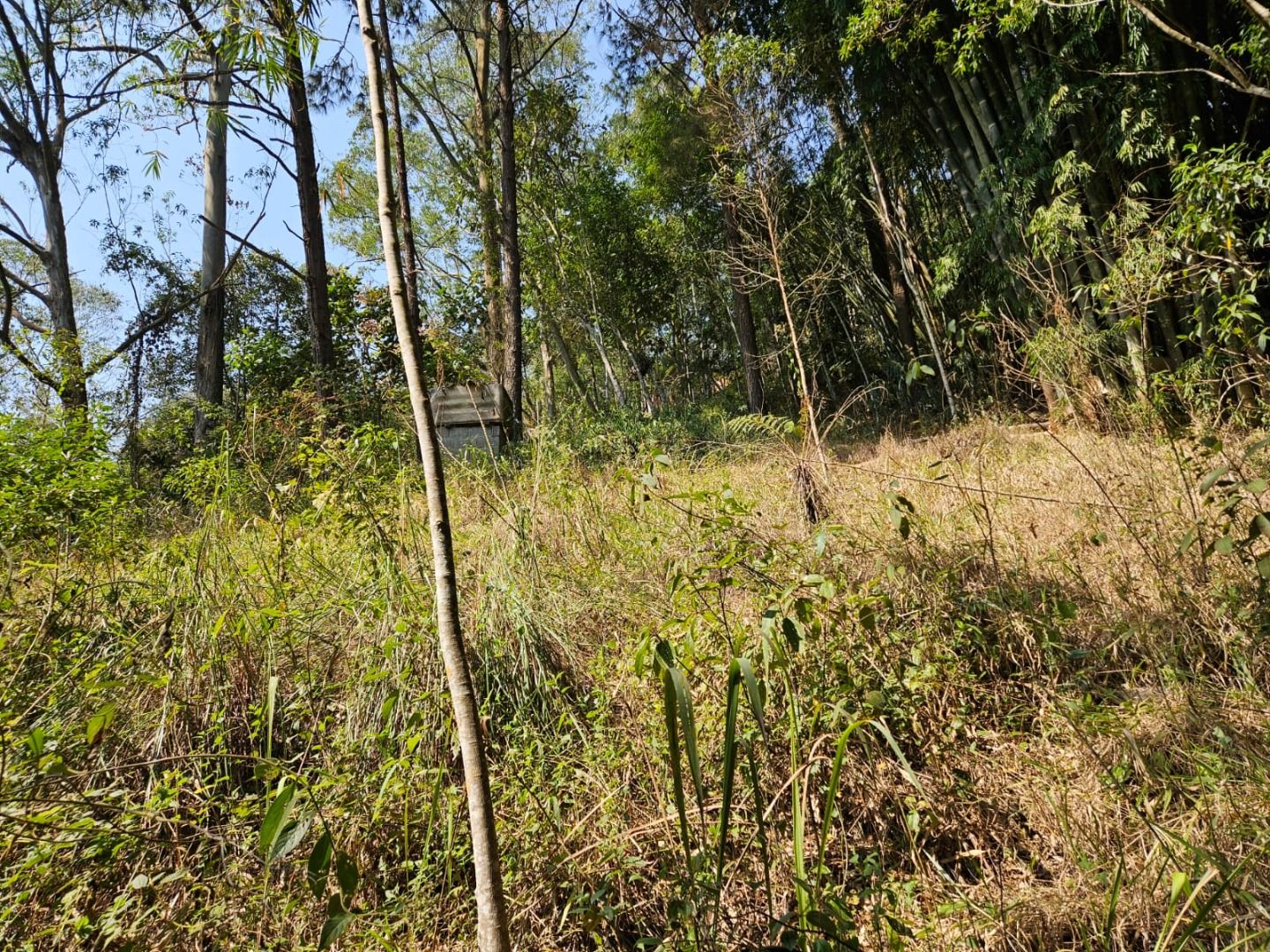 Alugar Terreno / Terreno em Ribeirão Pires R$ 1.000,00 - Foto 1