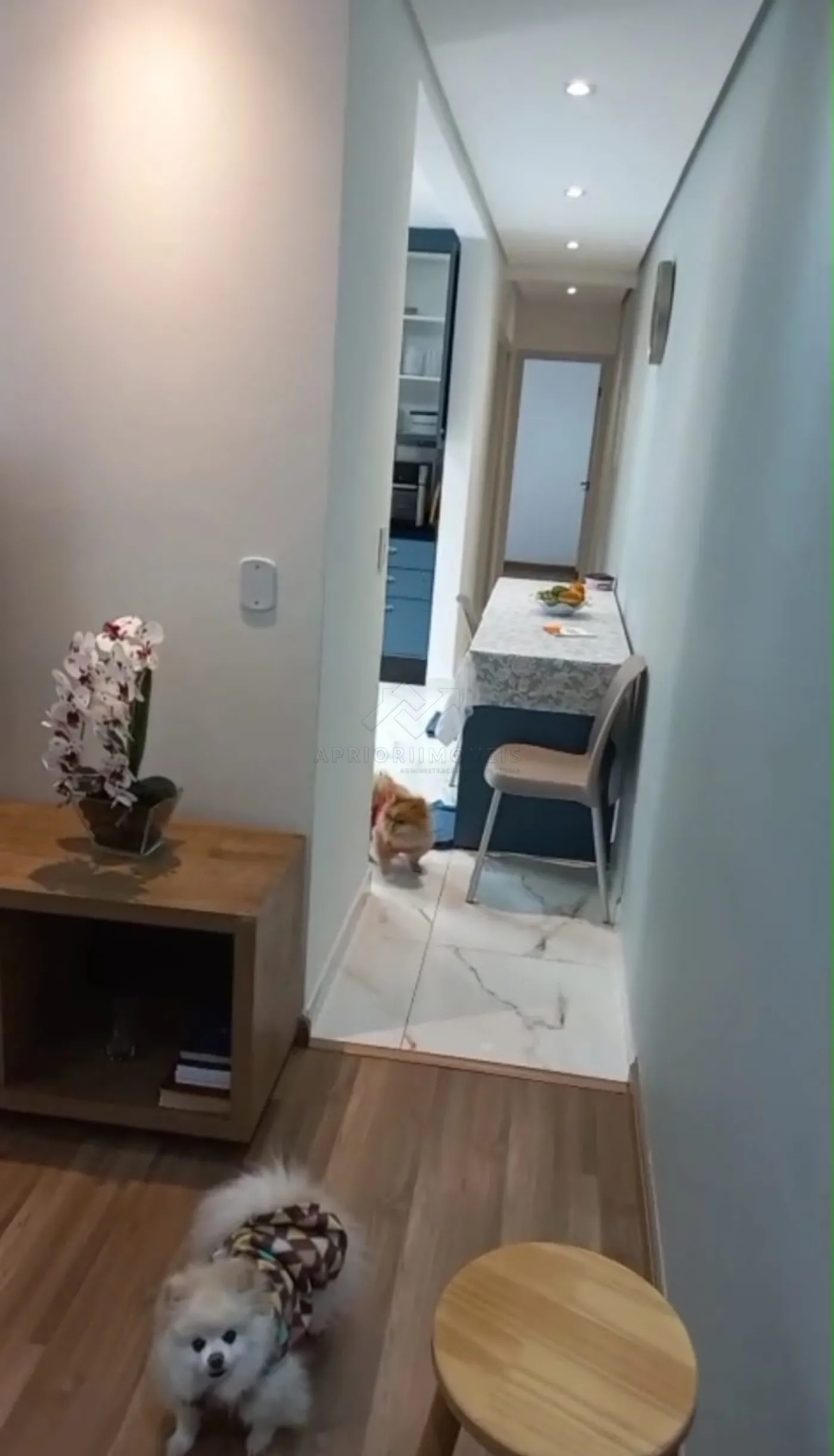 Comprar Apartamento / Apartamento em Santo André R$ 410.000,00 - Foto 4