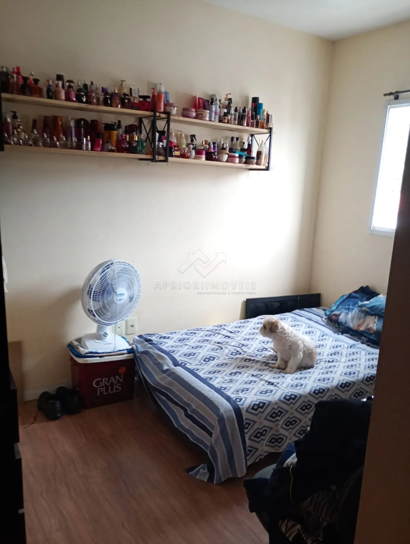 Comprar Apartamento / Apartamento sem condomínio em Santo André R$ 340.000,00 - Foto 6