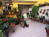 imagem 2 - Casa - Sobrado imagem 2 - Casa - Sobrado