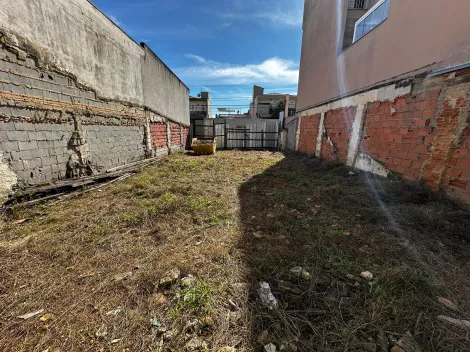 imagem 4 - Terreno para locação, 225 m² na Vila Cecília Maria - Santo André/SP imagem 4 - Terreno para locação, 225 m² na Vila Cecília Maria - Santo André/SP