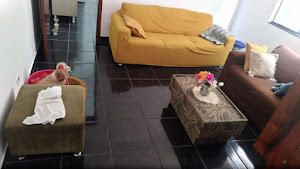 imagem 3 - Sobrado com 4 dormitórios à venda, 400 m² por R$ 1.000.000,00 - Vila Helena - Santo André/SP imagem 3 - Sobrado com 4 dormitórios à venda, 400 m² por R$ 1.000.000,00 - Vila Helena - Santo André/SP