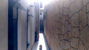 imagem 4 - Sobrado com 4 dormitórios à venda, 400 m² por R$ 1.000.000,00 - Vila Helena - Santo André/SP imagem 4 - Sobrado com 4 dormitórios à venda, 400 m² por R$ 1.000.000,00 - Vila Helena - Santo André/SP