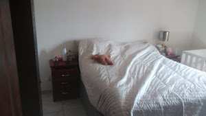 imagem 3 - Sobrado com 3 dormitórios à venda, 144 m² por R$ 678.400,00 - Vila Guarani - Santo André/SP imagem 3 - Sobrado com 3 dormitórios à venda, 144 m² por R$ 678.400,00 - Vila Guarani - Santo André/SP