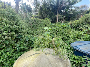 imagem 5 - Sobrado com 2 dormitórios à venda, 170 m² por R$ 250.000,00 - Parque Miami - Santo André/SP imagem 5 - Sobrado com 2 dormitórios à venda, 170 m² por R$ 250.000,00 - Parque Miami - Santo André/SP