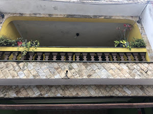 imagem 2 - Casa - Sobrado imagem 2 - Casa - Sobrado