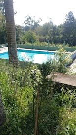 imagem 4 - Terreno à venda, 250 m² por R$ 180.000,00 - Recanto Vital Brasil - Mauá/SP imagem 4 - Terreno à venda, 250 m² por R$ 180.000,00 - Recanto Vital Brasil - Mauá/SP