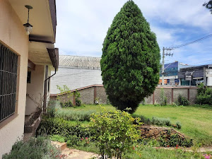 imagem 4 - Sobrado com 6 dormitórios à venda, 567 m² por R$ 3.720.000,00 - Vila Valparaíso - Santo André/SP imagem 4 - Sobrado com 6 dormitórios à venda, 567 m² por R$ 3.720.000,00 - Vila Valparaíso - Santo André/SP