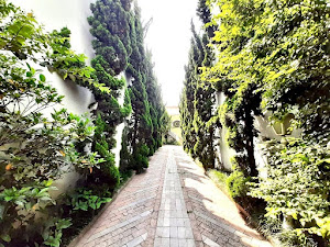 imagem 4 - Sobrado com 5 dormitórios à venda, 464 m² por R$ 1.810.000,00 - Campestre - Santo André/SP imagem 4 - Sobrado com 5 dormitórios à venda, 464 m² por R$ 1.810.000,00 - Campestre - Santo André/SP