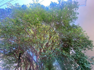imagem 3 - Terreno - Terreno imagem 3 - Terreno - Terreno