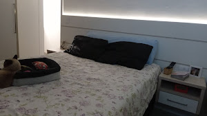 imagem 4 - Apartamento com 2 dormitórios à venda, 50 m² por R$ 320.000,00 - Parque das Nações - Santo André/SP imagem 4 - Apartamento com 2 dormitórios à venda, 50 m² por R$ 320.000,00 - Parque das Nações - Santo André/SP