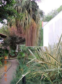 imagem 3 - Casa - Casa imagem 3 - Casa - Casa