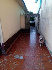 imagem 3 - Casa com 2 dormitórios à venda, 300 m² por R$ 798.000,00 - Parque Novo Oratório - Santo André/SP imagem 3 - Casa com 2 dormitórios à venda, 300 m² por R$ 798.000,00 - Parque Novo Oratório - Santo André/SP