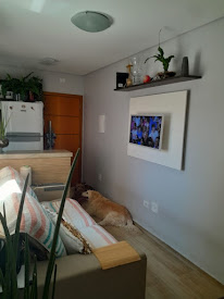 imagem 1 - Cobertura com 2 dormitórios à venda, 92 m² por R$ 445.000,00 - Vila Curuçá - Santo André/SP imagem 1 - Cobertura com 2 dormitórios à venda, 92 m² por R$ 445.000,00 - Vila Curuçá - Santo André/SP