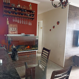 imagem 4 - Apartamento com 3 dormitórios à venda, 63 m² por R$ 295.000,00 - Jardim Santo André - Santo André/SP imagem 4 - Apartamento com 3 dormitórios à venda, 63 m² por R$ 295.000,00 - Jardim Santo André - Santo André/SP