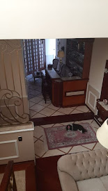 imagem 5 - Sobrado com 4 dormitórios à venda, 350 m² por R$ 2.700.000,00 - Jardim São Caetano - São Caetano do Sul/SP imagem 5 - Sobrado com 4 dormitórios à venda, 350 m² por R$ 2.700.000,00 - Jardim São Caetano - São Caetano do Sul/SP