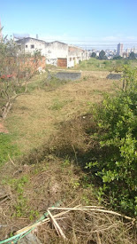 imagem 2 - Terreno para alugar, 1000m²- Jardim Jamaica - Santo André/SP imagem 2 - Terreno para alugar, 1000m²- Jardim Jamaica - Santo André/SP