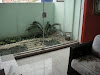 imagem 5 - Sobrado para alugar, 208 m² por R$ 5.500,00/mês - Vila Eldízia - Santo André/SP imagem 5 - Sobrado para alugar, 208 m² por R$ 5.500,00/mês - Vila Eldízia - Santo André/SP