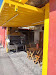 imagem 1 - Sobrado com 4 quartos  à venda, 150 m² por R$ 583.000 - Vila Tibiriçá - Santo André/SP imagem 1 - Sobrado com 4 quartos  à venda, 150 m² por R$ 583.000 - Vila Tibiriçá - Santo André/SP