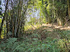 imagem 2 - Terreno, 5000 m² - venda por R$ 32.000.000,00 ou aluguel por R$ 1.000,00/mês - Quarta Divisão - Ribeirão Pires/SP imagem 2 - Terreno, 5000 m² - venda por R$ 32.000.000,00 ou aluguel por R$ 1.000,00/mês - Quarta Divisão - Ribeirão Pires/SP