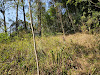 imagem 1 - Terreno, 5000 m² - venda por R$ 32.000.000,00 ou aluguel por R$ 1.000,00/mês - Quarta Divisão - Ribeirão Pires/SP imagem 1 - Terreno, 5000 m² - venda por R$ 32.000.000,00 ou aluguel por R$ 1.000,00/mês - Quarta Divisão - Ribeirão Pires/SP