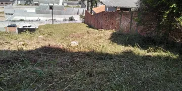 imagem 5 - Terreno à venda, 500 m² na Vila Tibiriçá - Santo André/SP imagem 5 - Terreno à venda, 500 m² na Vila Tibiriçá - Santo André/SP