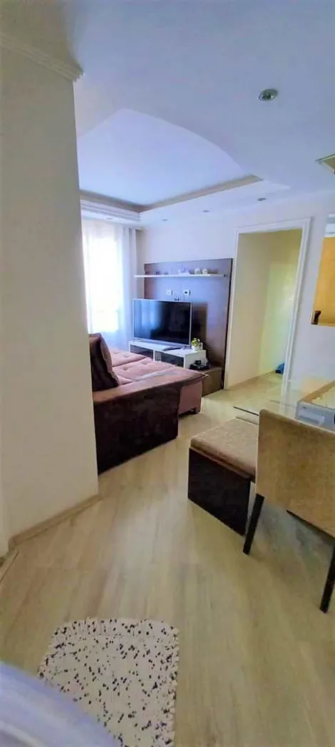 imagem 1 - Apartamento com 03 Dormitórios à venda, 65m² por R$ 360.000,00 - Parque Marajoara - Santo André/SP imagem 1 - Apartamento com 03 Dormitórios à venda, 65m² por R$ 360.000,00 - Parque Marajoara - Santo André/SP
