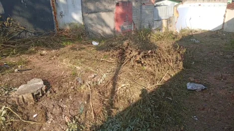 imagem 3 - Terreno 250m² no bairro Jd Lutécia - Santo André/SP imagem 3 - Terreno 250m² no bairro Jd Lutécia - Santo André/SP