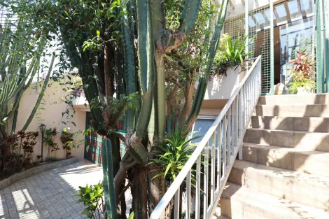 imagem 4 - Casa para locação Assunção - Santo André imagem 4 - Casa para locação Assunção - Santo André