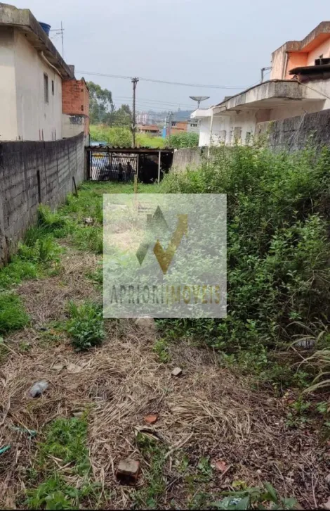 imagem 4 - Terreno à venda - Jardim Irene - Santo André/SP imagem 4 - Terreno à venda - Jardim Irene - Santo André/SP