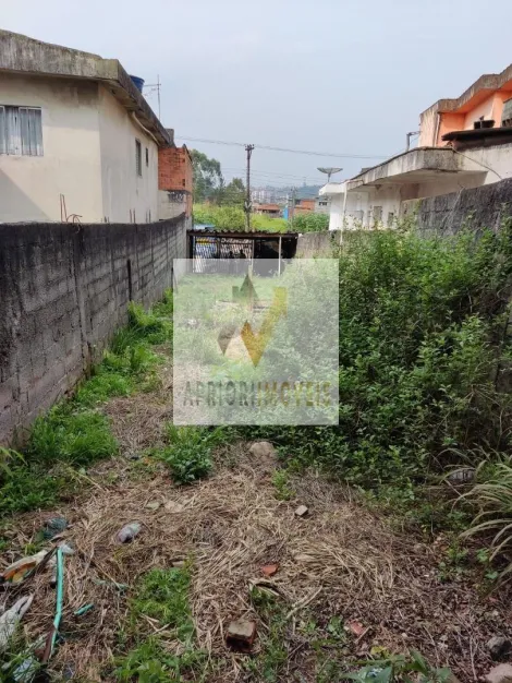 imagem 5 - Terreno à venda - Jardim Irene - Santo André/SP imagem 5 - Terreno à venda - Jardim Irene - Santo André/SP