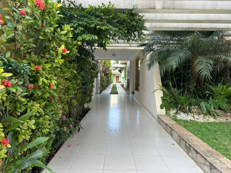 imagem 5 - Casa Térrea Residencial/Comercial ? 463m² ? Vila Assunção, Santo André/SP imagem 5 - Casa Térrea Residencial/Comercial ? 463m² ? Vila Assunção, Santo André/SP